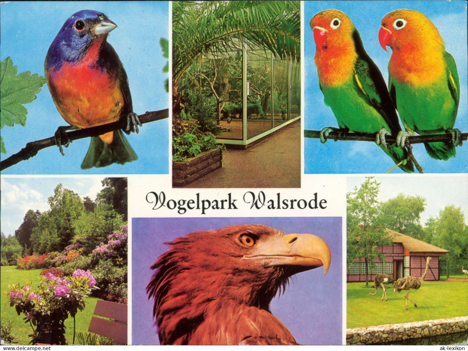 Ansichtskarte Walsrode Vogelpark 1979 - Walsrode