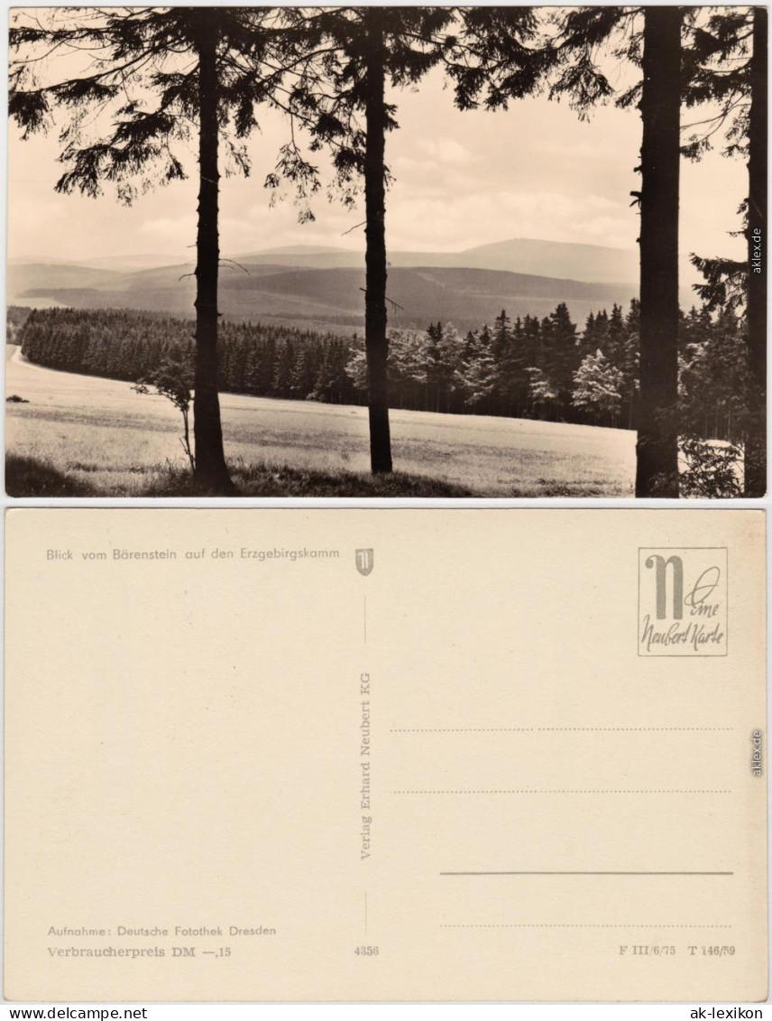 Bärenstein Altenberg (Erzgebirge) Panorama, Blick Vom Bärenstein    1959 - Baerenstein