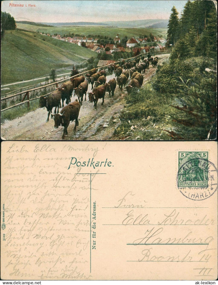 Ansichtskarte Altenau-Clausthal-Zellerfeld Viehauftrieb - Stadt 1909 - Altenau