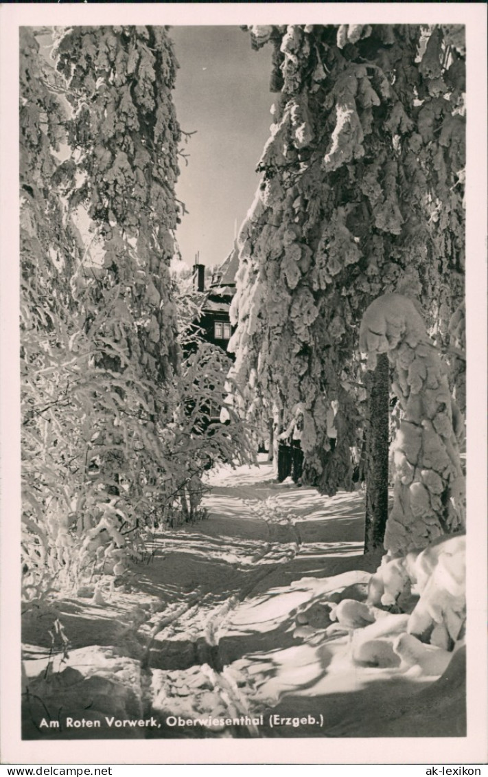 Oberwiesenthal Verschneite Wald-Partie Erzgebirge 1941  Stempel Oberwiesenthal - Oberwiesenthal