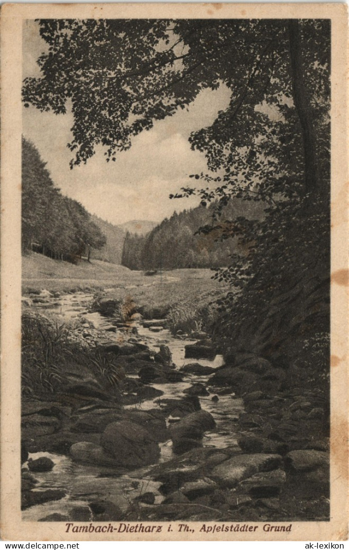 Ansichtskarte Tambach-Dietharz Apfelstädter Grund 1927 - Tambach-Dietharz