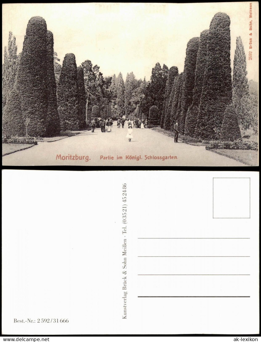 Ansichtskarte Moritzburg Schloßgarten - REPRO 1912/1995 - Moritzburg