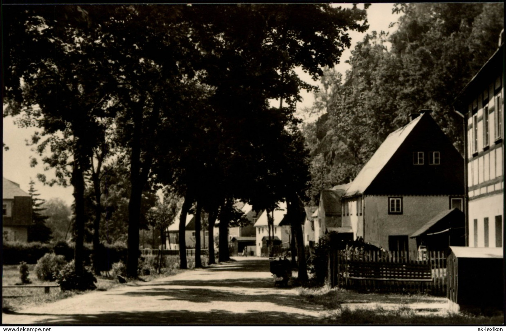 Rechenberg-Bienenmühle Hauptstraße Blick Auf Wohnhäuser DDR AK 1966 - Rechenberg-Bienenmühle