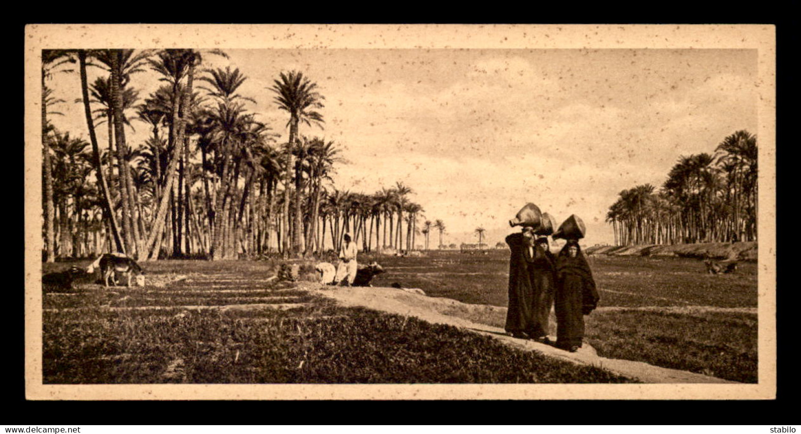 EGYPTE - LENHERT & LANDROCK N°26 - NATIVE WOMEN - FORMAT 15 X 7.5 CM - Persons