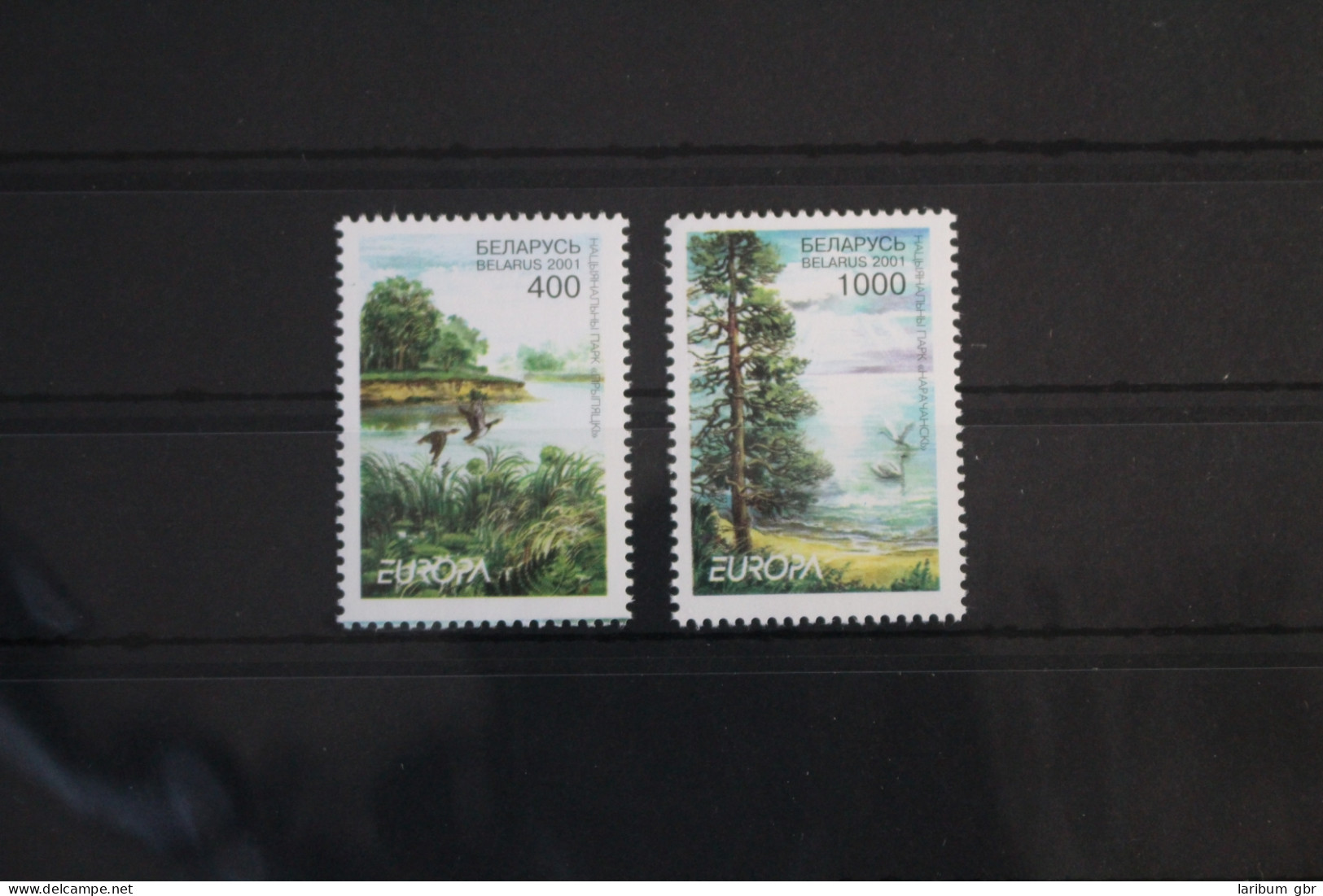 Weißrussland 409-410 Postfrisch Europa Lebensspender Wasser #VQ798 - Belarus