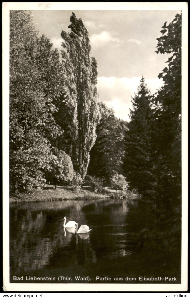 Ansichtskarte Bad Liebenstein Partie Aus Dem Elisabeth-Park 1939 - Bad Liebenstein