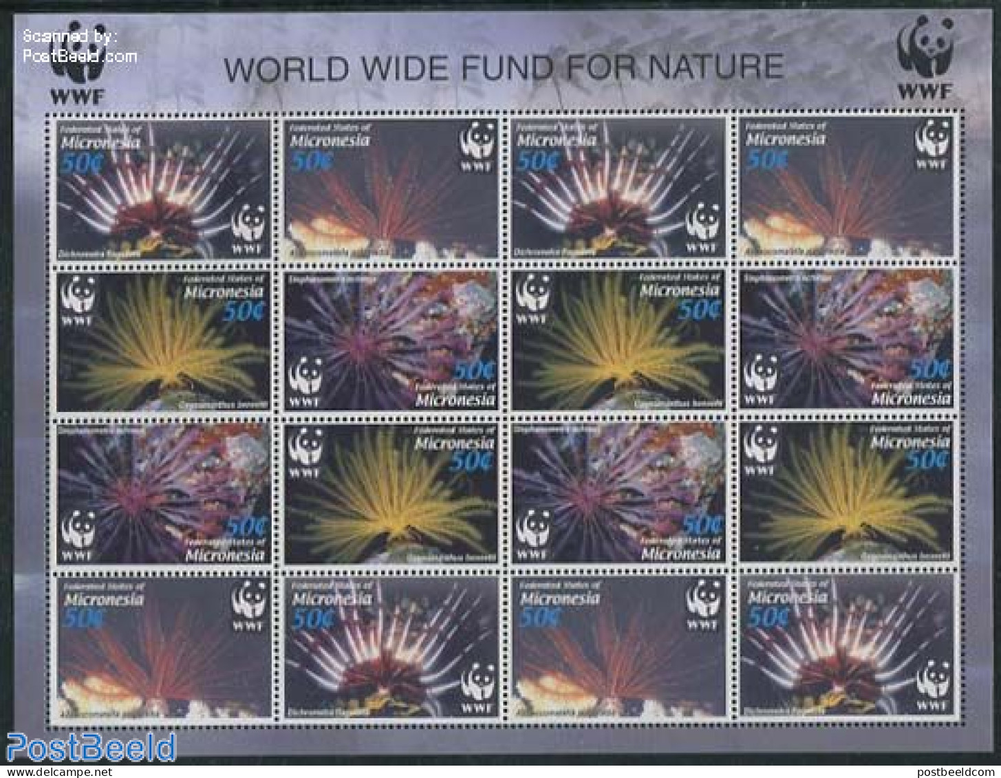 Micronesia 2005 WWF, Corals M/s With 4 Sets, Mint NH, Nature - World Wildlife Fund (WWF) - Mikronesien