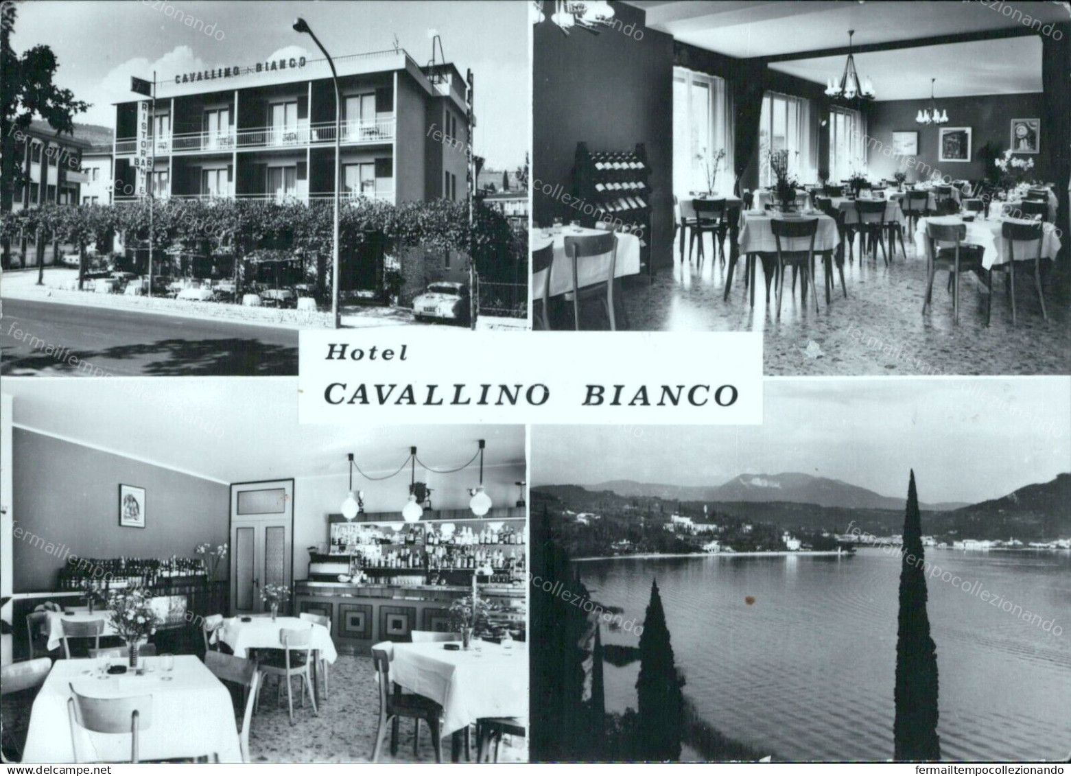 G746 Cartolina Garda Hotel Cavallino Bianco Provincia Di Verona Veneto - Verona