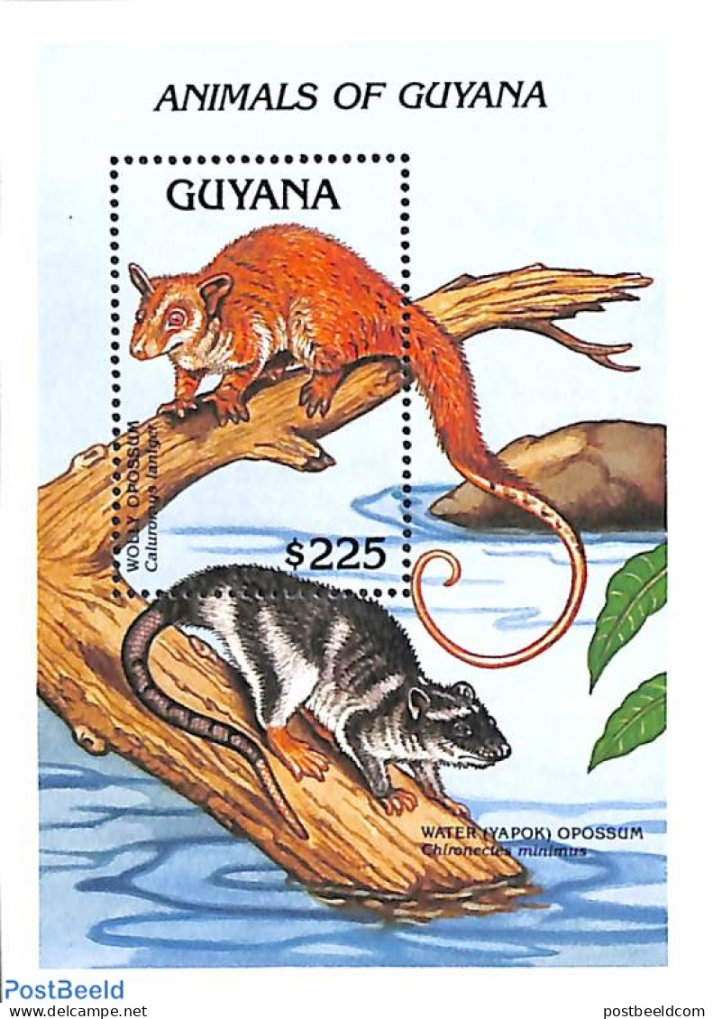 Guyana 1992 Wolly Opossum S/s, Mint NH, Nature - Animals (others & Mixed) - Guyana (1966-...)