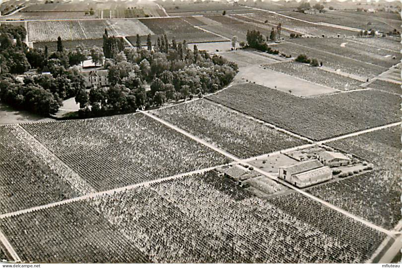 33* ST EMILION  Chateau Monbousquet (cpsm9x14)    MA101,0128 - Saint-Emilion