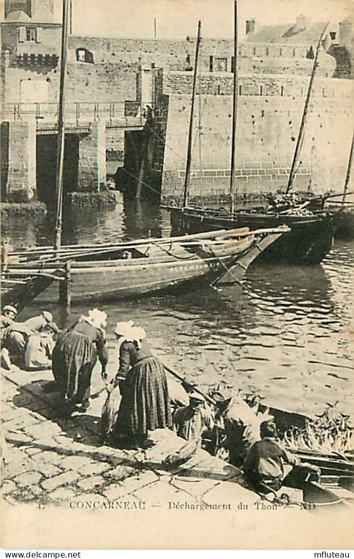 29* CONCARNEAU  Dechargement Du Thon  MA100,1457 - Pêche