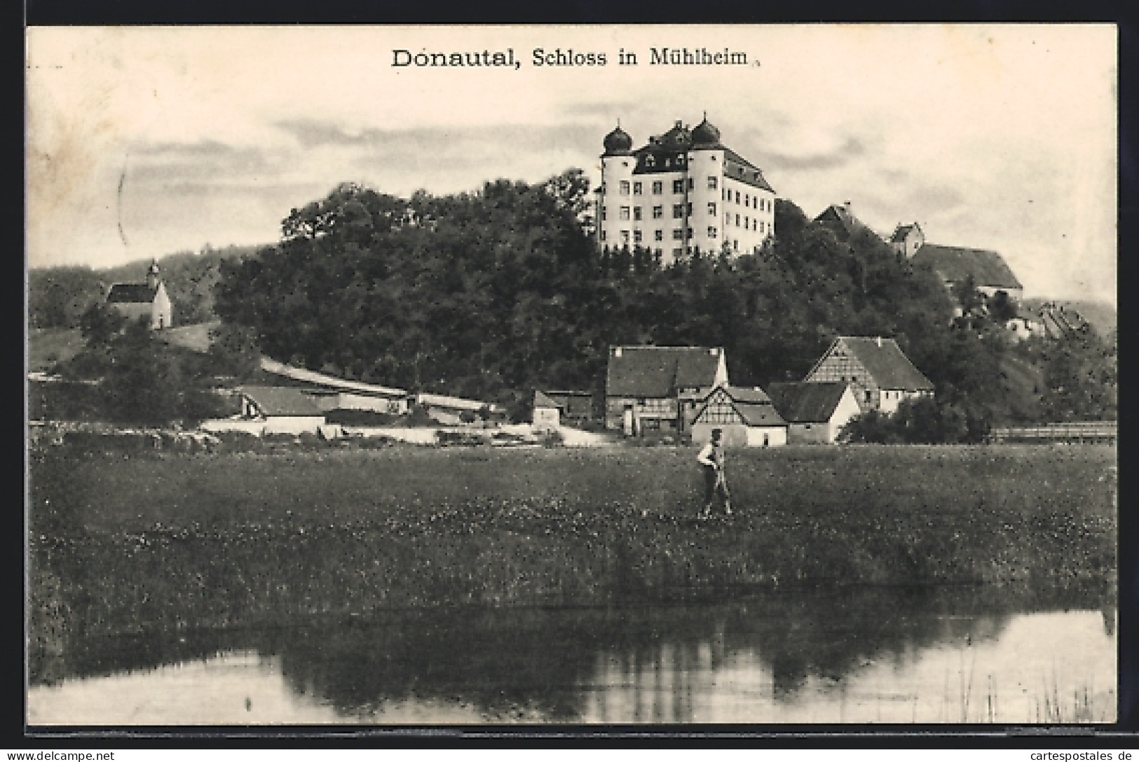 AK Mühlheim Im Donautal, Blick Zum Schloss  - Muehlheim