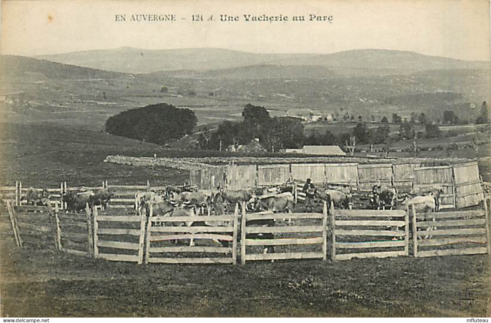 63* AUVERGNE  Une Vacherie   MA103,0573 - Viehzucht