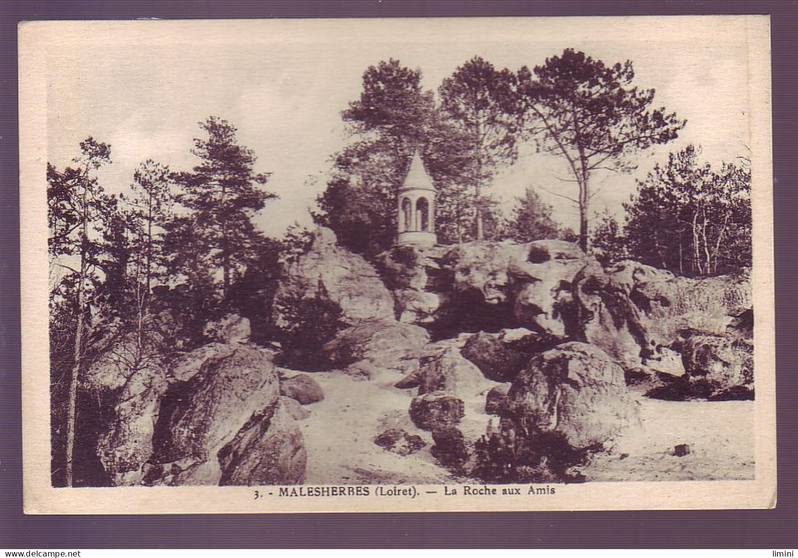 45 - MALESHERBES - LA ROCHE AUX AMIS - - Malesherbes