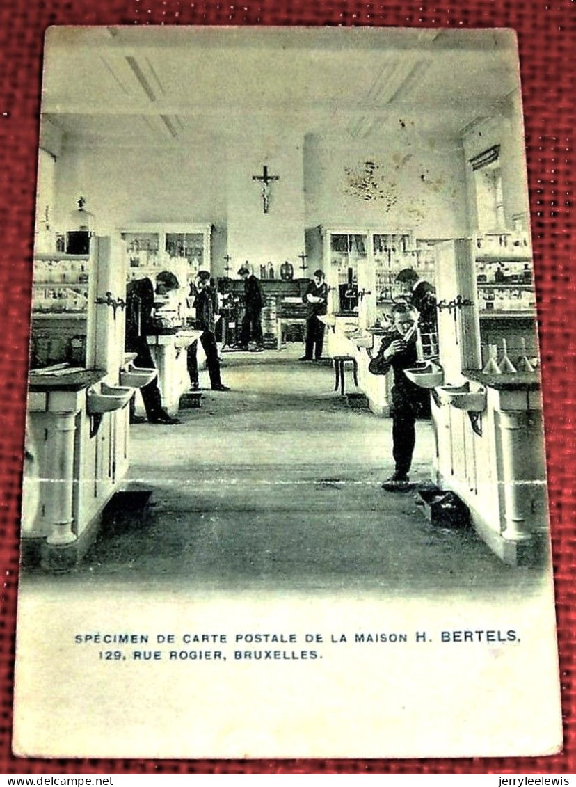 BRUXELLES -  Maison H. BERTELS  - Specimen De Carte Postale  De La Maison Bertels - Petits Métiers