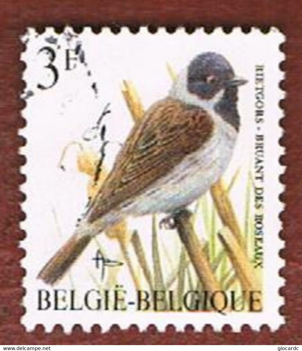 BELGIO (BELGIUM)   - SG 3076 - 1991  BIRDS: REED BUNTING      - USED - Oblitérés