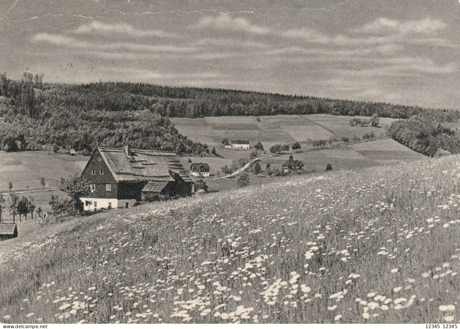 Rehefeld/Erzgebirge, Stamped Berlin Geschutzte Vogelarten - Rehefeld