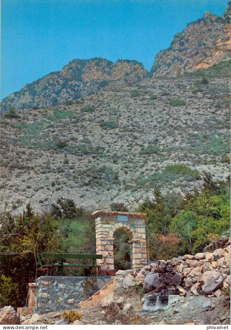 ORGAÑA , FONT BORDONERA , FOTO JANOT Nº 91 , LÉRIDA , T.P. NO CIRCULADA - Lérida