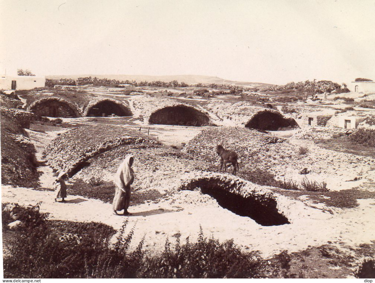 Photographie Photo Vintage Snapshot Afrique Tunisie Carthage - Africa