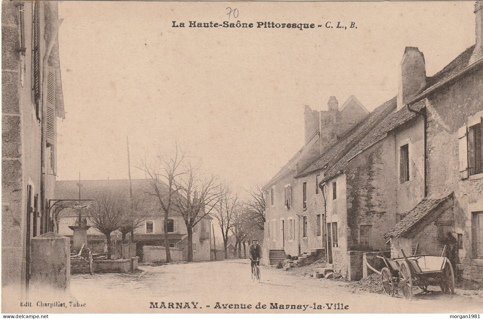 LA HAUTE SAONE PITTORESQUE.   AVENUE DE MARNAY LA VILLE - Marnay