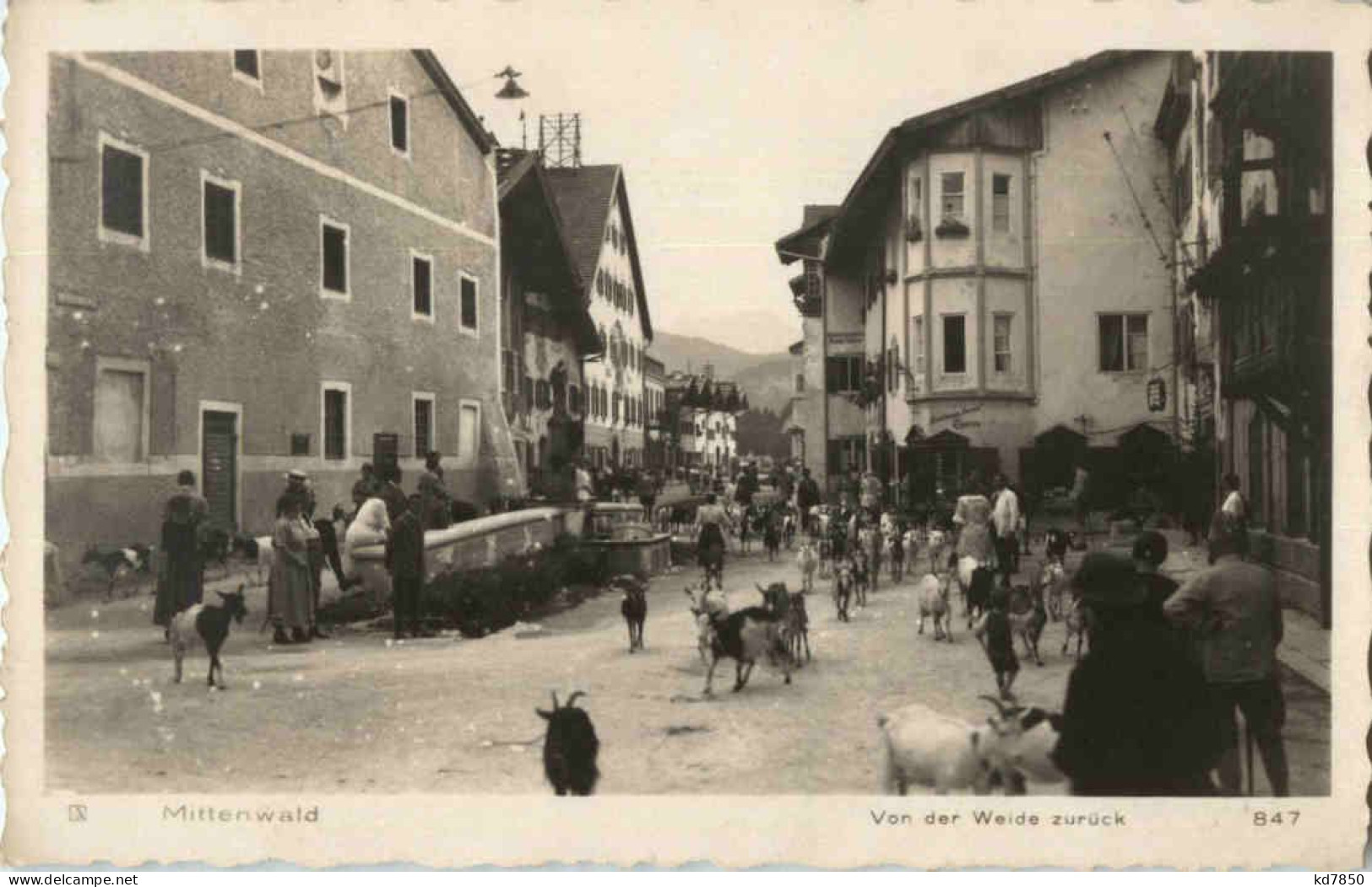 Mittenwald - Von Der Weide Zurück - Mittenwald