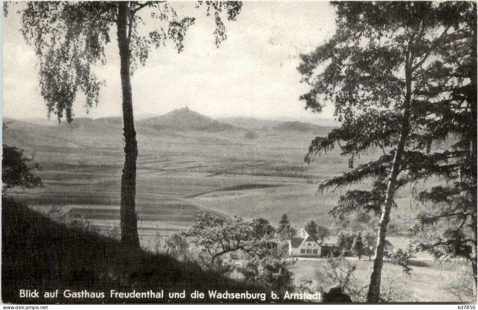 Arnstadt/Thür. - Blick Auf Gasthaus Freudenthal Und Die Wachsenburg B.Arnstadt - Arnstadt