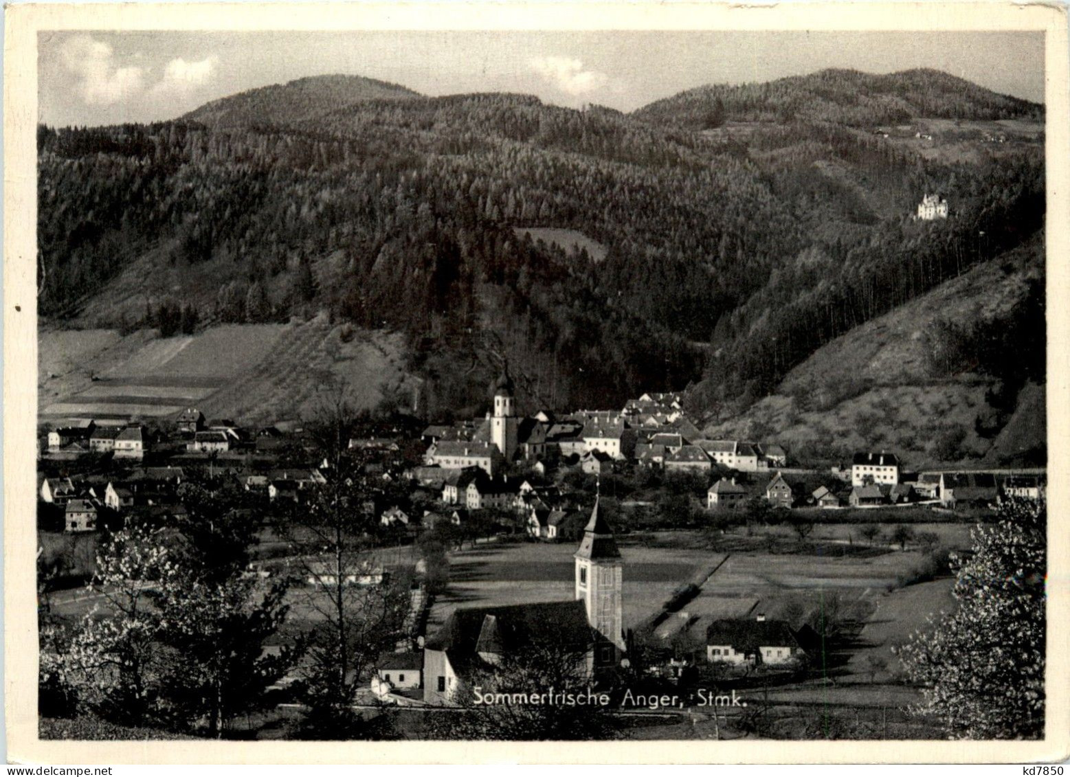 Anger - Oststeiermark - Sommerfische Anger - Anger