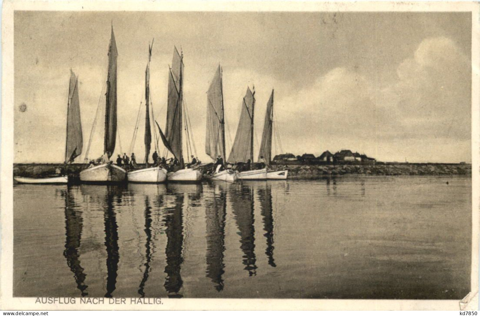 Ausflug Nach Der Hallig - Halligen