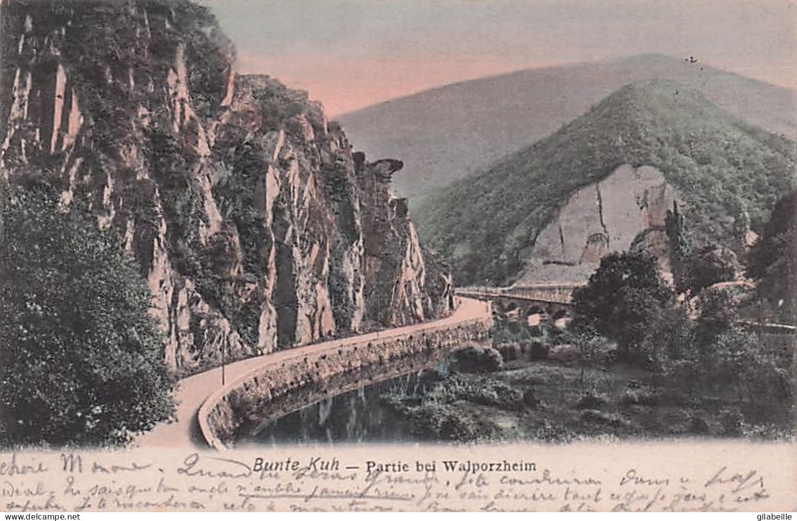  Bunte Kuh - Partie Bei Walporzheim - 1905 - Bad Neuenahr-Ahrweiler