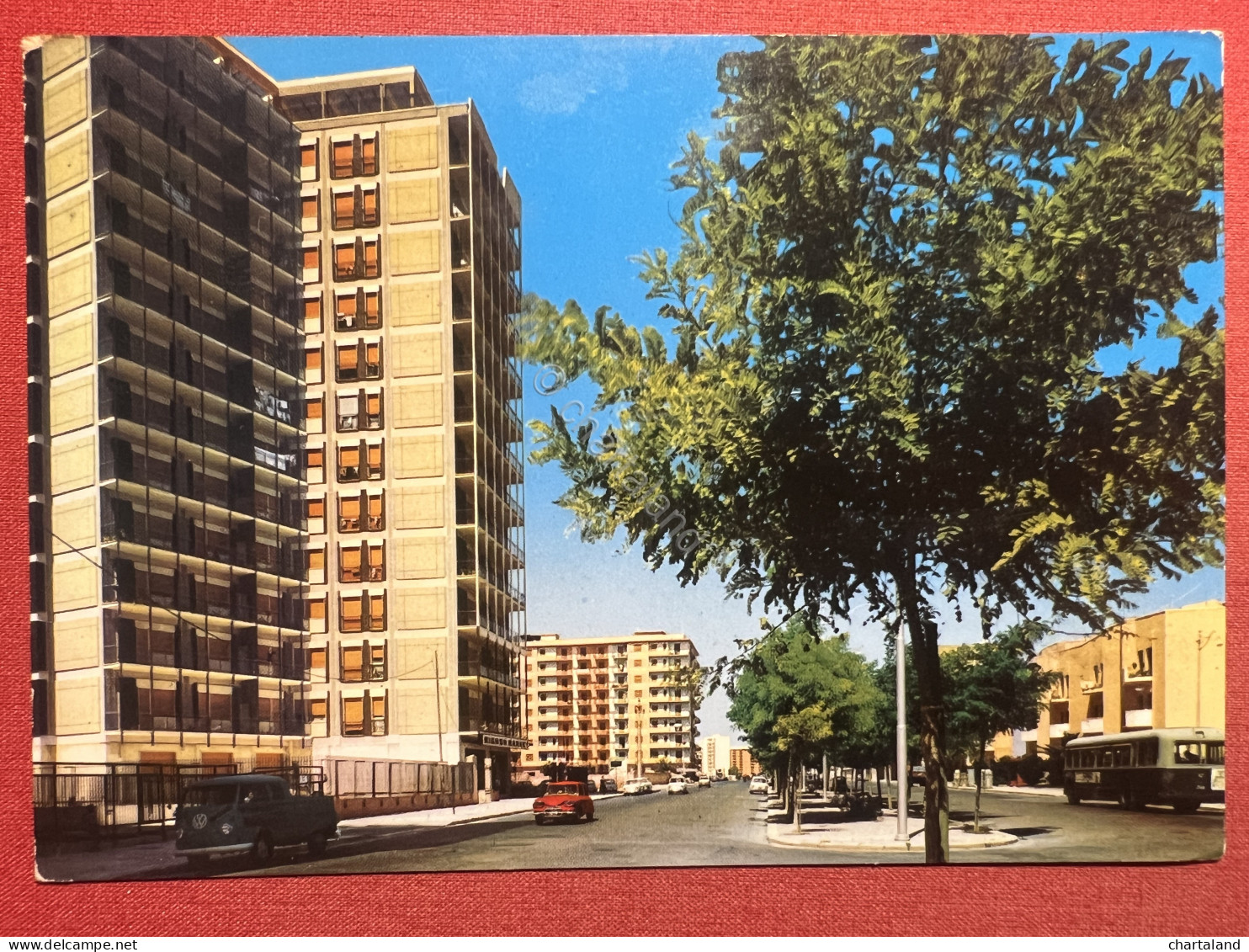 Cartolina - Taranto - Viale Magna Grecia - 1969 - Taranto