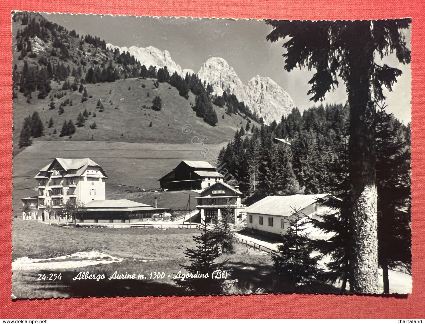 Cartolina - Agordino ( Belluno ) - Albergo Aurine - 1962 - Belluno