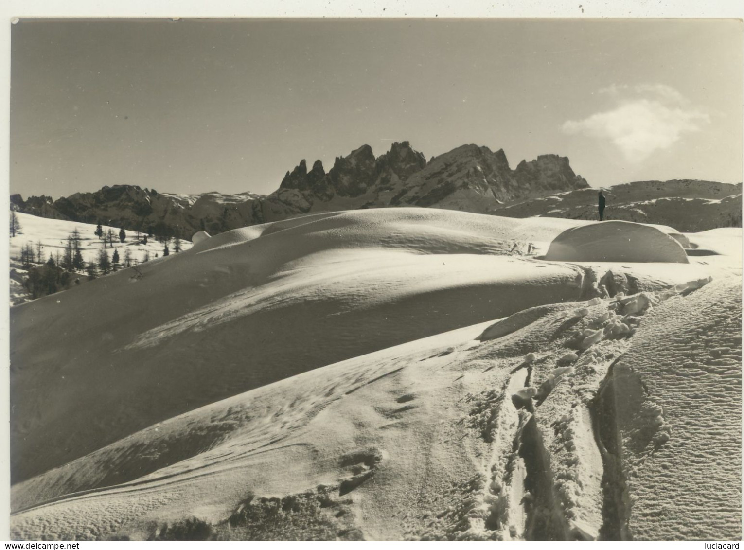 PASSO S.PELLEGRINO -BELLUNO -TRE CIME DI FOCOBON - Belluno