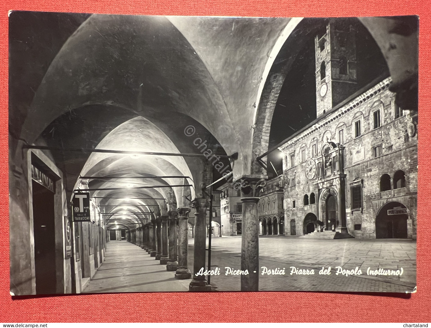 Cartolina - Ascoli Piceno - Portici Piazza Del Popolo ( Notturno ) - 1961 - Ascoli Piceno