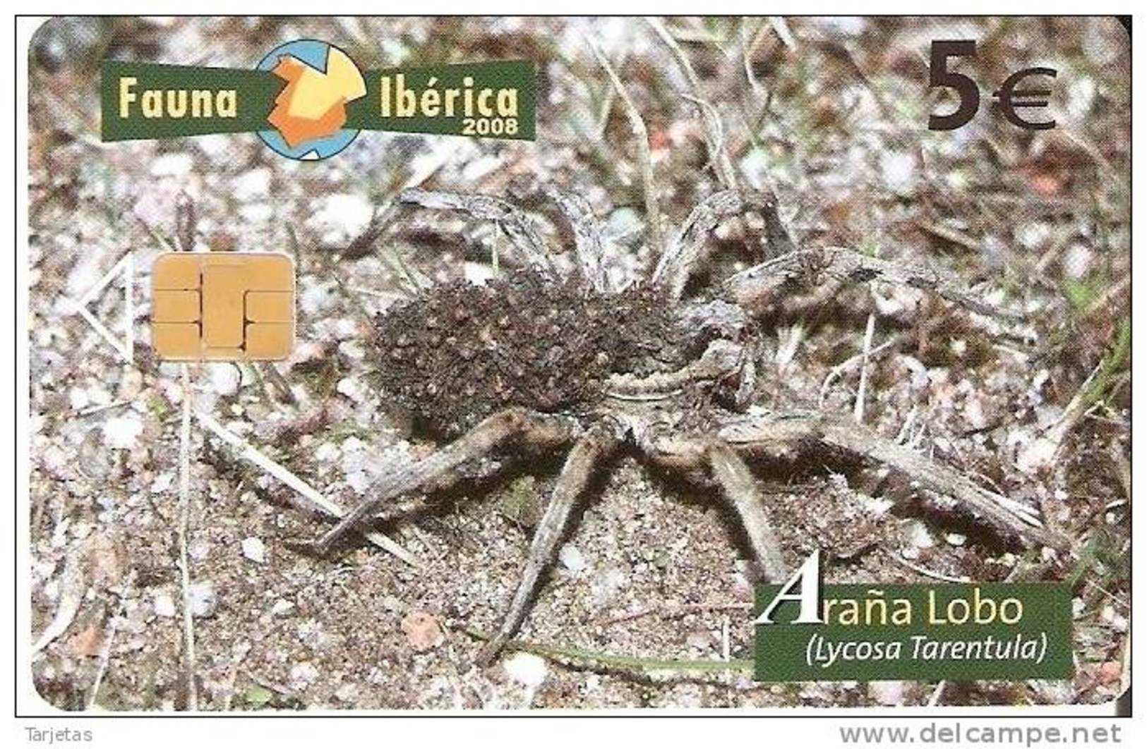 B-142 TARJETA DE ESPAÑA DE UNA ARAÑA LOBO FAUNA IBERICA (SPIDER) - Basic Issues