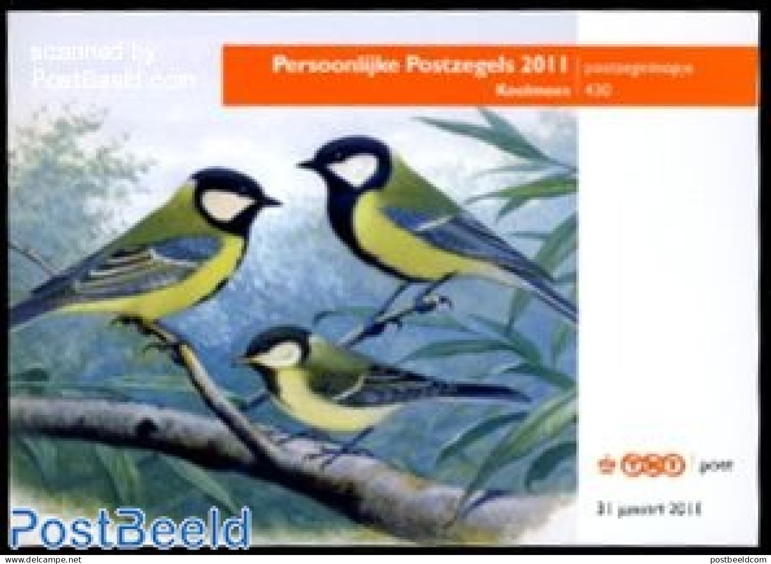 Netherlands 2011 Presentation Pack 430, Birds, Mint NH, Nature - Birds - Unused Stamps