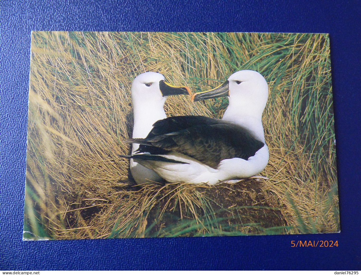 Cartes Postales D' André Fatras - Verzamelingen & Reeksen