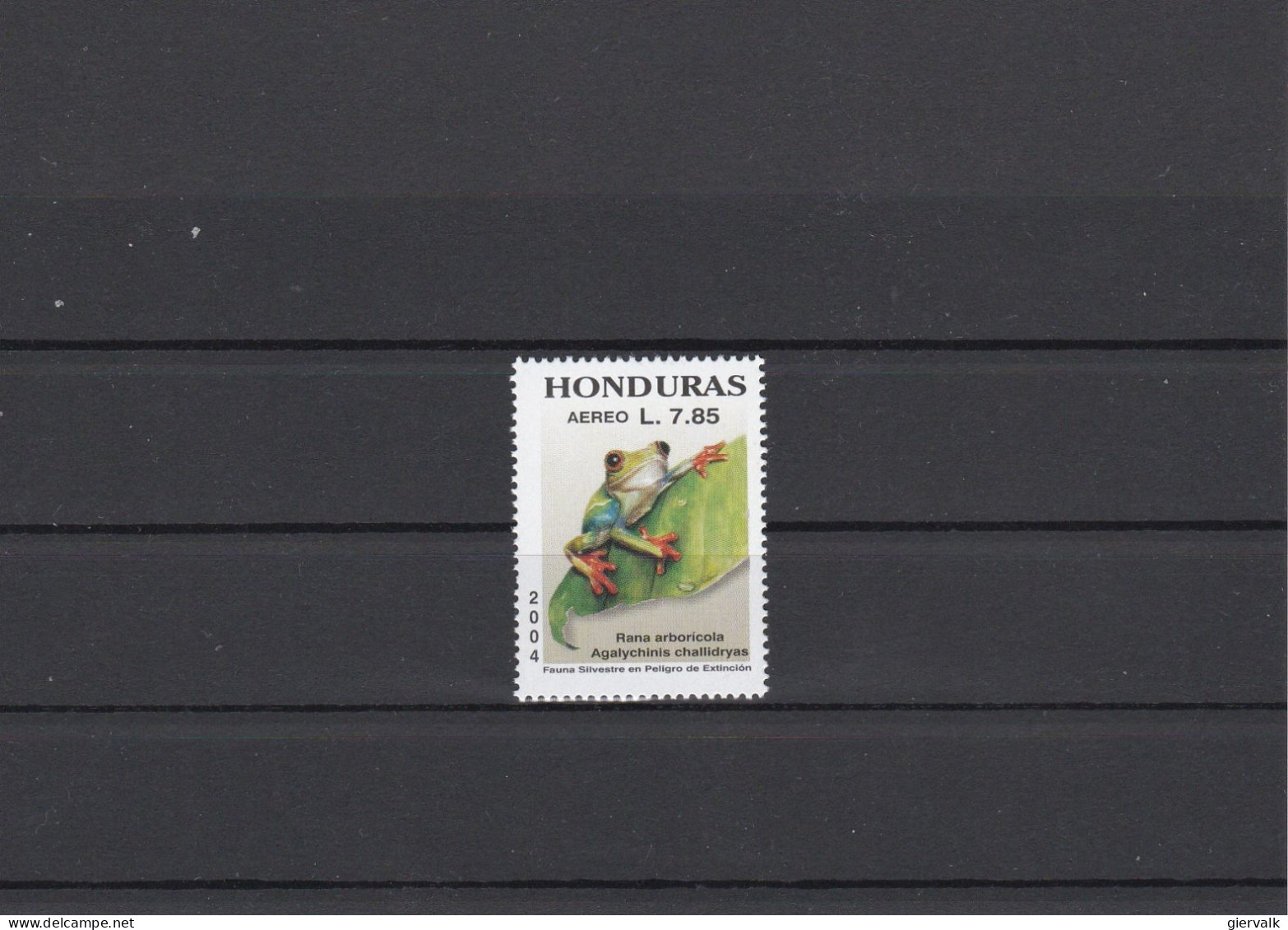 HONDURAS 2004 FROG MNH. - Kikkers