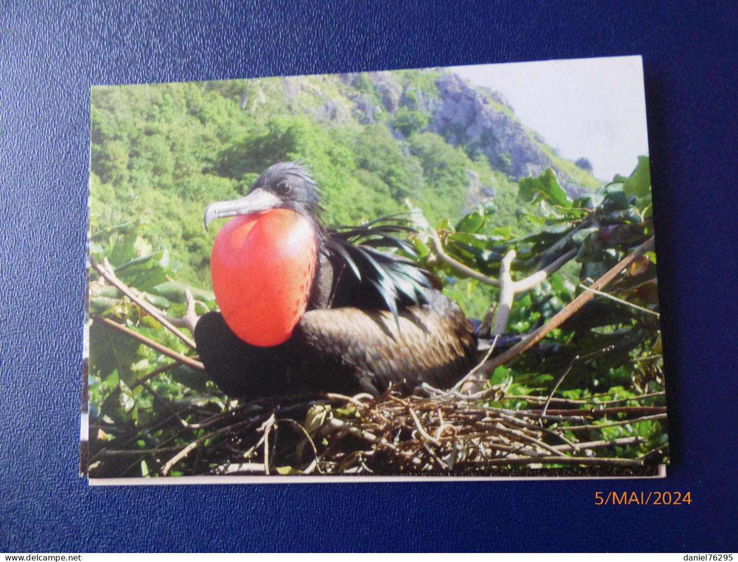 Cartes Postales Antarctique - Verzamelingen & Reeksen