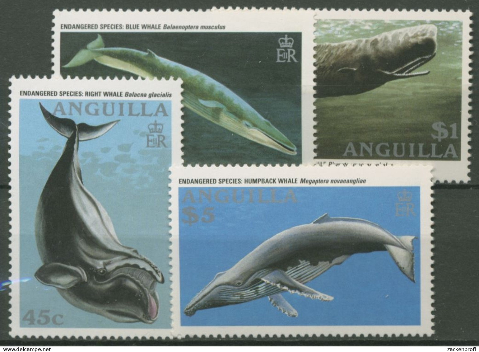 Anguilla 1995 Gefährdete Tiere: Wale 953/56 Postfrisch - Anguilla (1968-...)