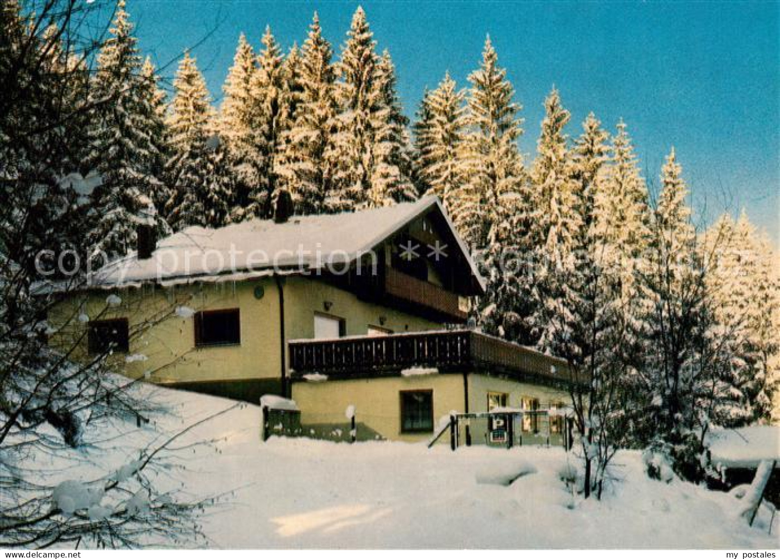 73324311 Zwiesel Niederbayern Zwieseler Alm Berggasthaus Im Winter Bayerischer W - Zwiesel