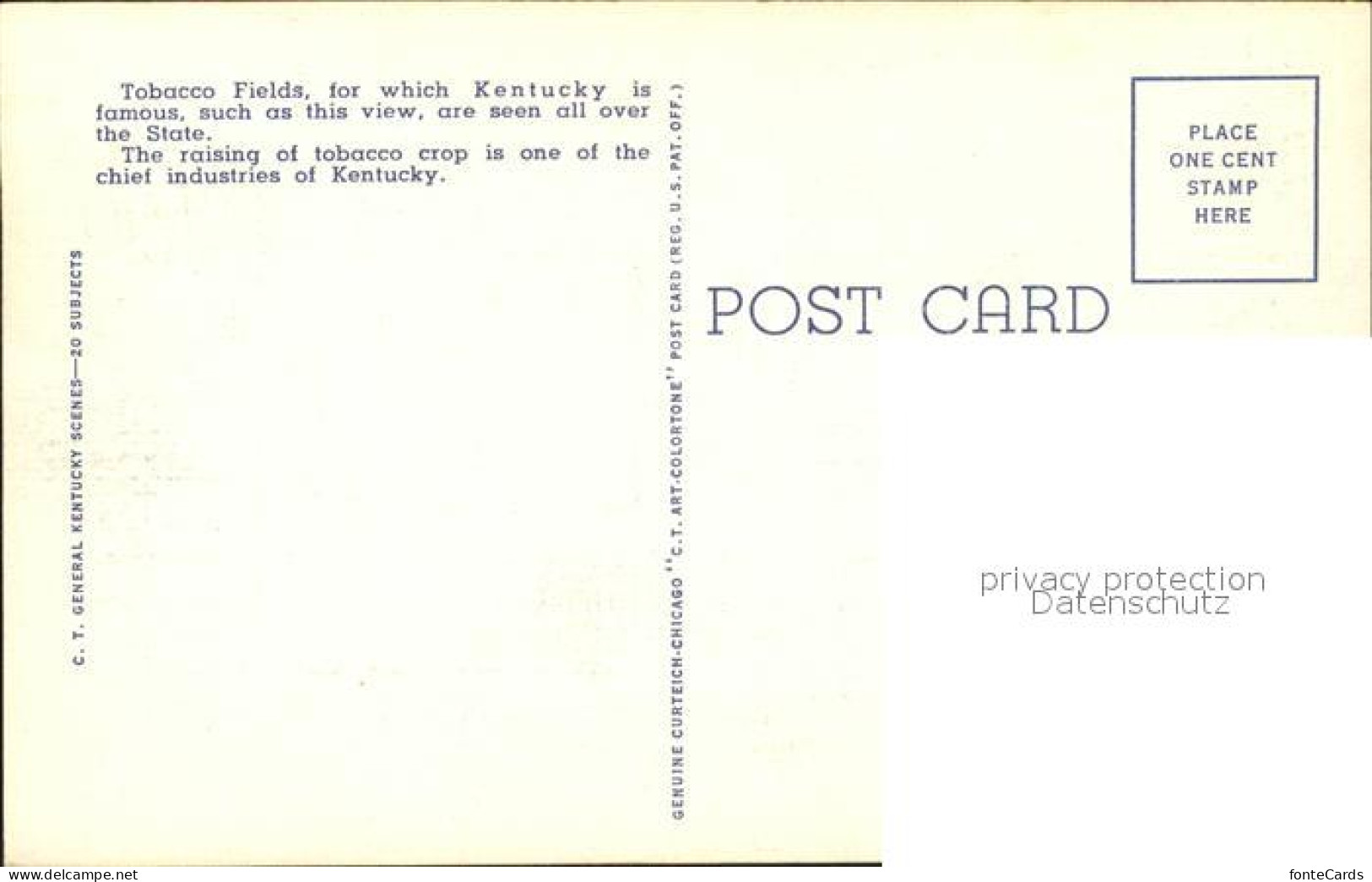 11686452 Kentucky_US-State Tobacco Field In Old Kentucky - Other & Unclassified