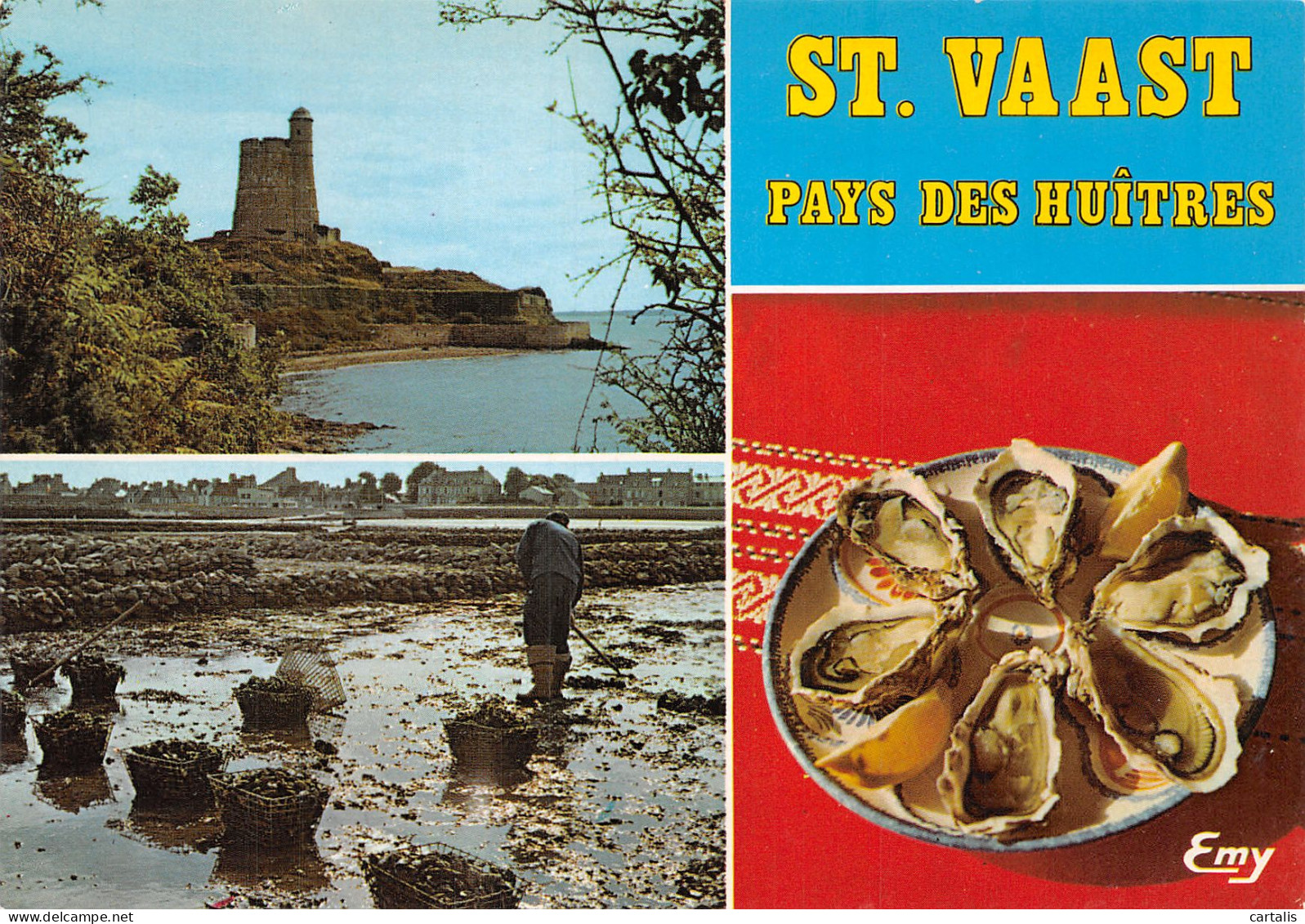 50-SAINT VAAST LA HOUGUE-N°C4113-B/0307 - Saint Vaast La Hougue