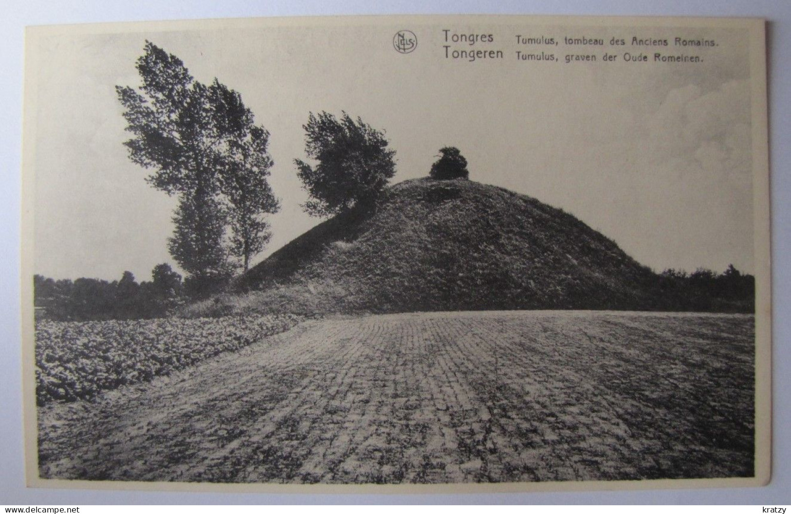 BELGIQUE - LIMBOURG - TONGEREN (TONGRES) - Tumulus, Tombeau Des Anciens Romains - Tongeren