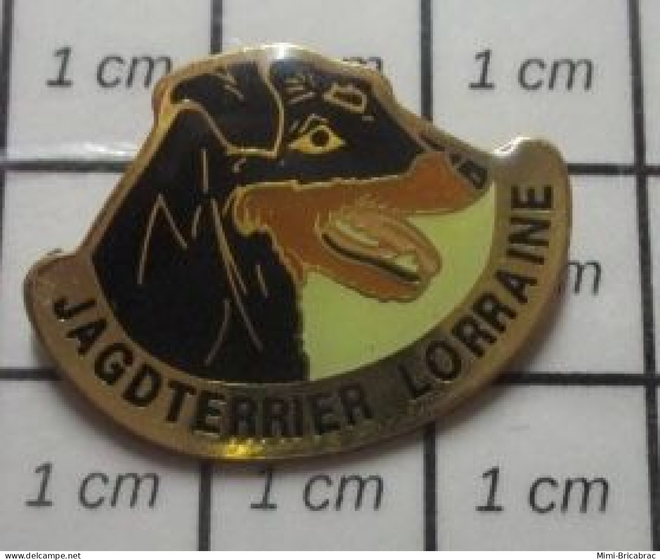 312B Pin's Pins / Beau Et Rare / ANIMAUX / CHIEN NOIR JAGDTERRIER LORRAINE - Dieren