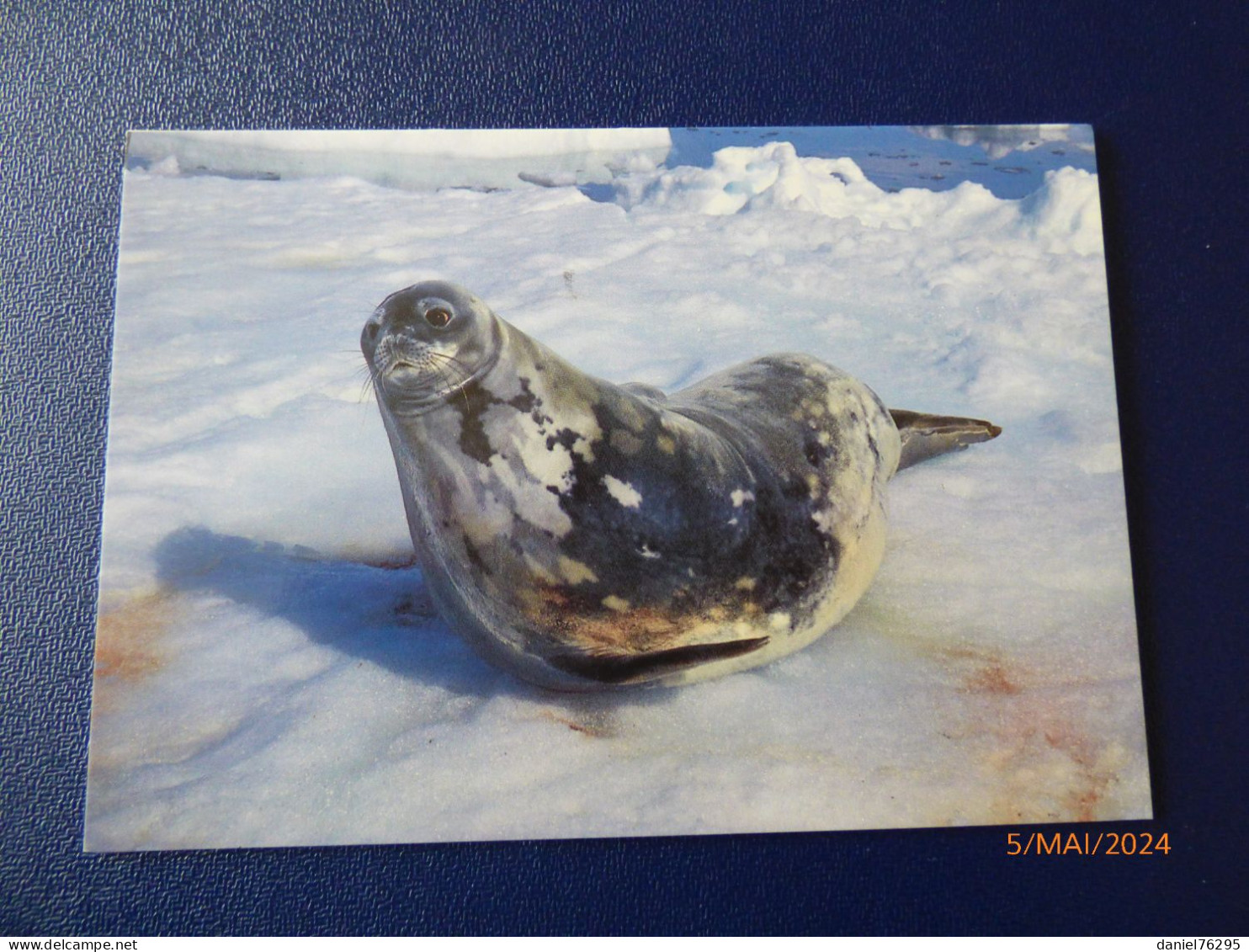 Cartes Postales Antarctique - Collections, Lots & Séries