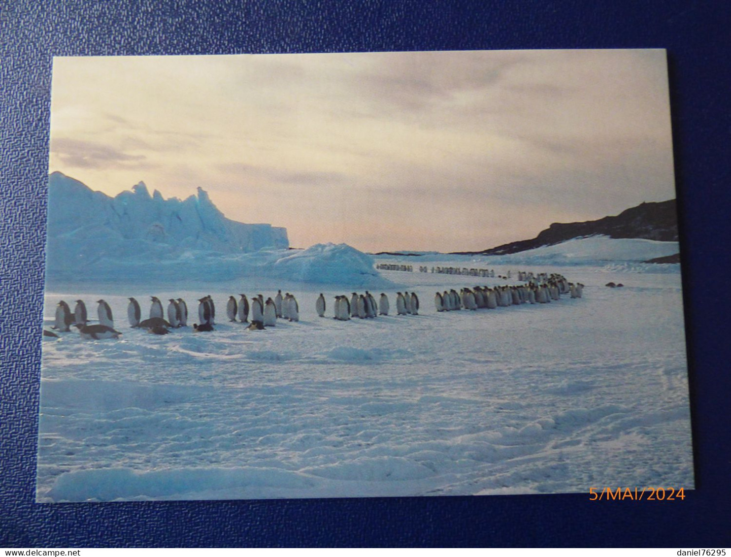 Cartes Postales Antarctique - Collections, Lots & Séries
