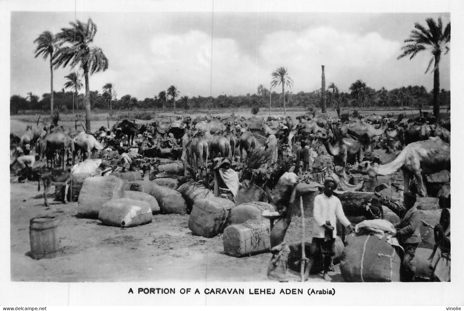 P-24-Mi-Is-606 :  ADEN. A PORTION OF A CARAVAN LEHEJ - Yemen