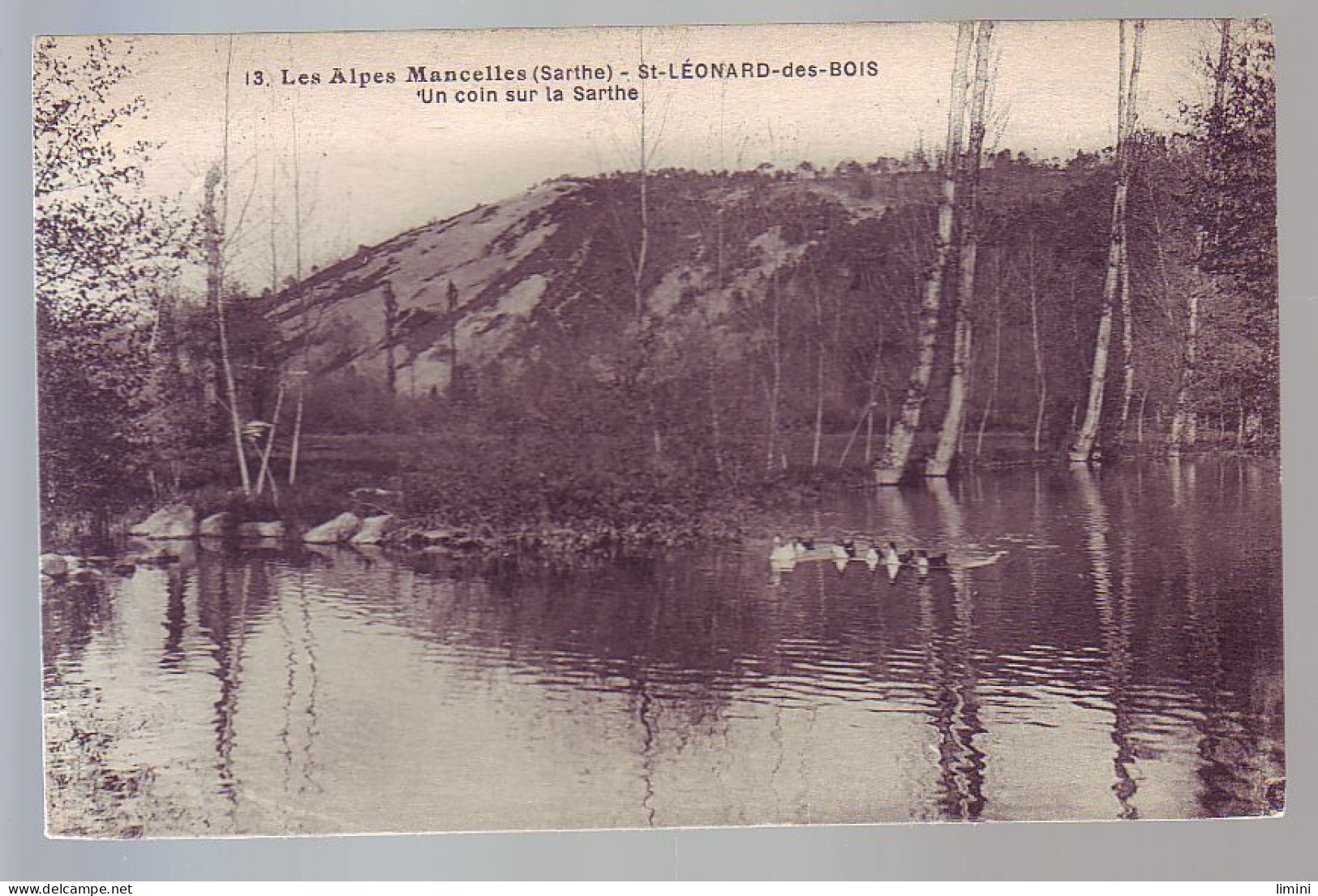 72 - SAINT LEONARD-des-BOIS - UN COIN SUR LA SARTHÉ - - Saint Leonard Des Bois