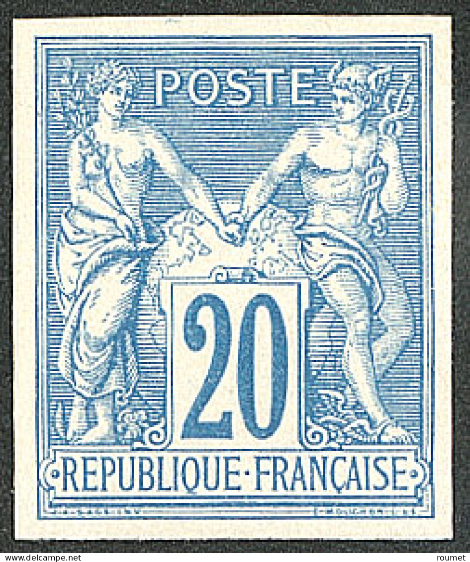 (*) Régents. Sans Teinte De Fond. No 73b. - TB. - R - 1876-1878 Sage (Tipo I)