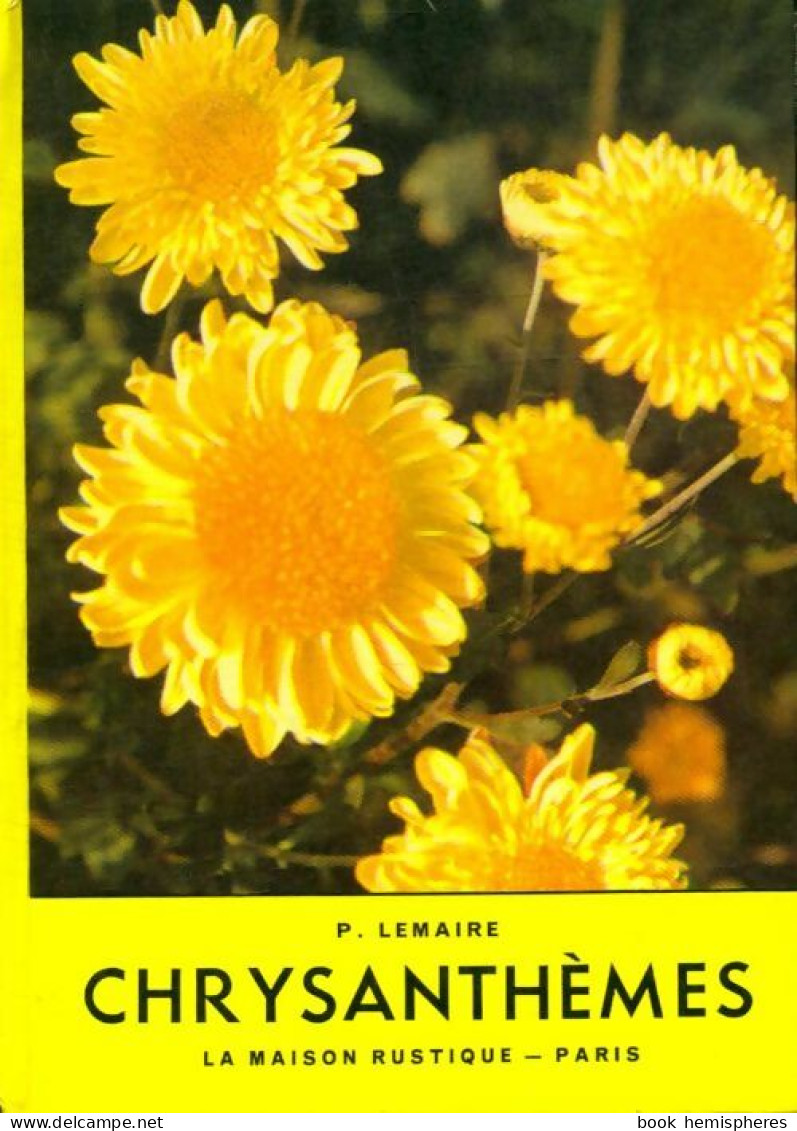 Chrysanthèmes (1960) De P. Lemaire - Nature